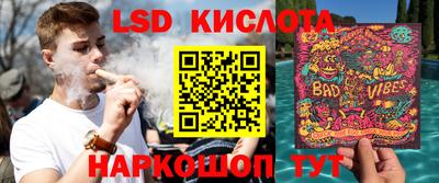 шишки Донской