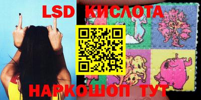 шишки Донской