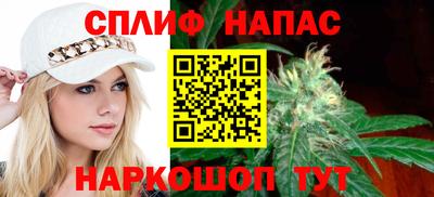 шишки Донской