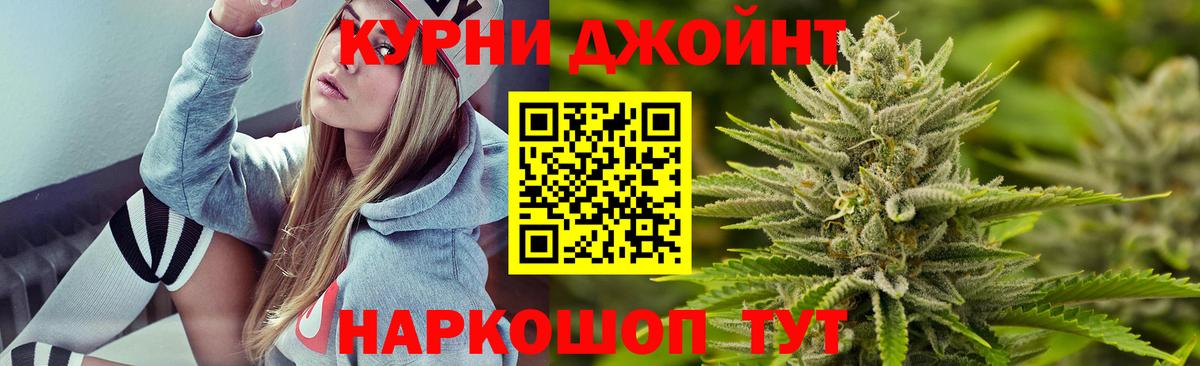 Бошки Шишки MAZAR  Вход с VPN  Канабис OG Kush  Канабис план  Кизилюрт 